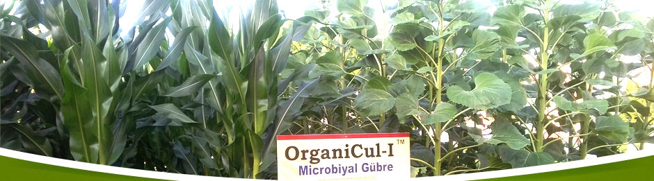 Organicul Mikrobiyal Gübre - Ferbio Organik Gübre